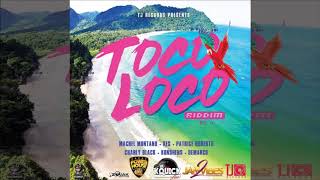 TOCO LOCO RIDDIM MEGA MIX 2019 SOCA [upl. by Haakon200]