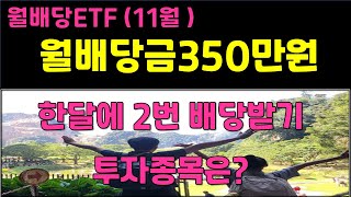 월배당ETF 월배당금350만원달성  한달에2번 배당받기방법 투자종목은  커버드콜ETF포함 [upl. by Pooh]