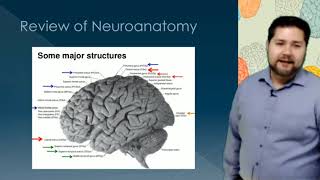 Neuropathology Lecture [upl. by Euqinomahs]