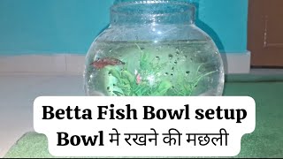 Fish Bowl Setup Bettafish [upl. by Eulau]