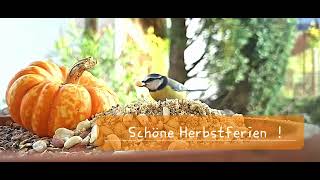 Schöne Herbstferien [upl. by Jahdai]