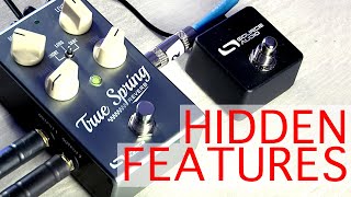 True Spring Reverb Hidden Features [upl. by Monia390]