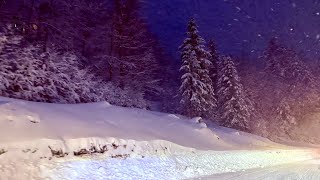 BUFERA ABETONE 12 ORE CHE NEVICA NON STOP IN APPENNINO  aggiornamento delle 2240 ❄️ [upl. by Humble]