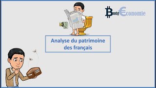 Analyse du patrimoine des français INSEE [upl. by Anelram]