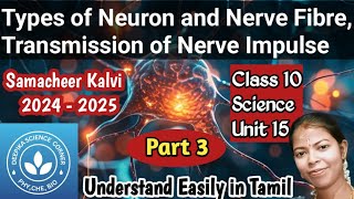 Types of Neurons and Nerve Fibres Transmission of Nerve Impulse Class 10 Science Term 1 Unit 15 [upl. by Eel]