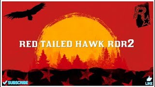 Red Tailed Hawk location RDR2 [upl. by Kcirdef574]