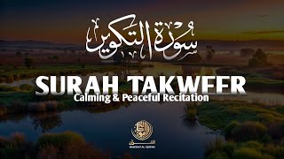 Beautiful Quran Recitation Surah Takweer سورة التكوير  Hafidh Ahmad Farhan Sheikh [upl. by Lundberg]