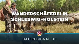 Wanderschäferei Ein aussterbendes Handwerk [upl. by Sauveur]