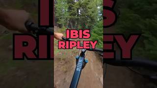 Ibis Ripley V5 First Ride mtb shorts [upl. by Kachine209]