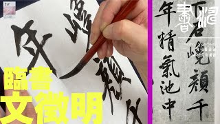 【書道 臨書】書き方解説！＊文徴明（明）・行書詩巻＜書濤2024 11月号 解説④半紙＞ [upl. by Jacenta]