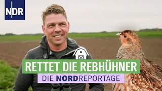 Runter von der roten Liste die Rebhühner müssen gerettet werden  Die Nordreportage  NDR [upl. by Fillian]