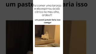 Pastel faz mais bem que laranja vidasaudavel laranjas pastel saude videosengraçados humor [upl. by Alehc949]