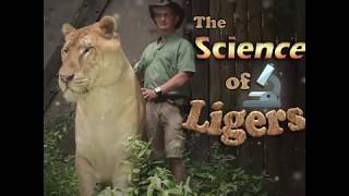 Liger Science Episode 1 [upl. by Treve579]