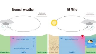 What is El Nino and La Nina  El Nino effect in Pakistan climatechange [upl. by Marrin]