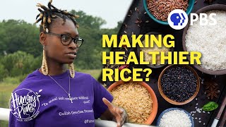 How Rice is Preserving History and Rethinking Nutrition Science [upl. by Sachiko]