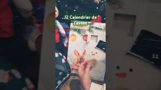 J2 du calendrier de lAventanimaux noël desney sapin maxizoo christmas [upl. by Nirad391]