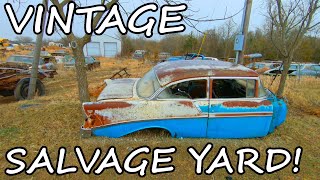 HUGE Classic Car Junkyard Walkthrough  Classic Cars Scattered All Over Junkyard Tour [upl. by Tien]