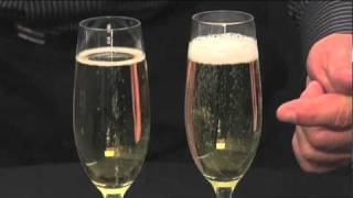 Schott Zwiesel Champagne Flutes by Pottery Barn [upl. by Eilla788]