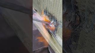 Radiator tube weldingyoutubeviralvideo viralshorts youtubeshorts radiator carradiatorshorts [upl. by Lynnworth244]