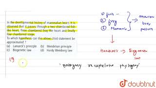 In the developmental history of mammalian heart It is observed that it passes through [upl. by Figone452]