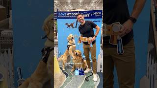 ad Why ​⁠lowes is the best petfriendly store DogsofLowes LowesPartner [upl. by Enimassej]