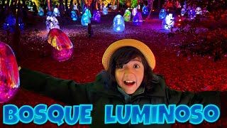 Exploro BOSQUE LUMINOSO [upl. by Daht]