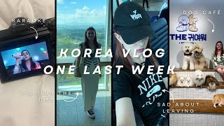 Korea vlog🎋 back in Seoul Banpo Bridge karaoke time alone trip to the DMZ goodbye Korea [upl. by Elleiram]