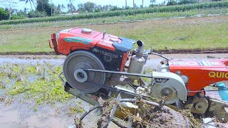 Rice Field Tilling Using Diesel Tractor [upl. by Leummas]