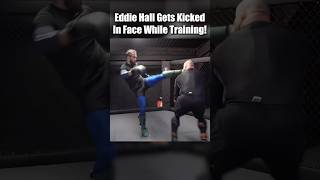 Eddie Hall Gets Kicked In Face While Training mma [upl. by Yerffe]