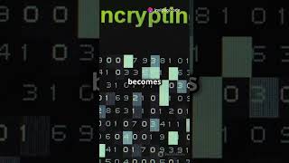 Build a Simple Encryption amp Decryption System with Caesar Cipher 🔐  Coding Challenge coding [upl. by Pinchas]