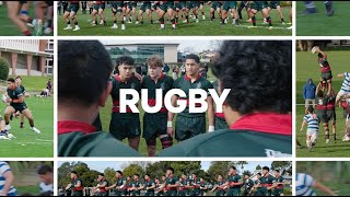 Rugby 2024 [upl. by Anyat]