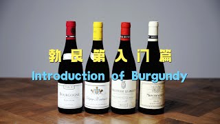 勃艮第产区入门介绍 Introduction of Burgundy [upl. by Enixam]