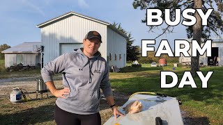 Busy Day of Farm Work  Family Homestead Channel  Chickens Garden Turkeys Eggs Ep 66 [upl. by Rozelle442]