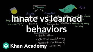 Operant conditioning Innate vs learned behaviors  Behavior  MCAT  Khan Academy [upl. by Bondon]