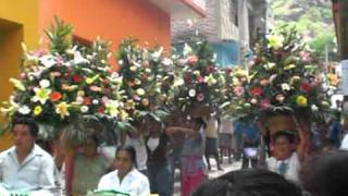 fiesta patronal de san juan bautista cuicatlan oaxaca [upl. by Nojram]