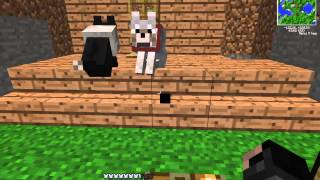 como domesticar lobos en minecraft 152 y todas las versiones 2014 HD [upl. by Edwine]