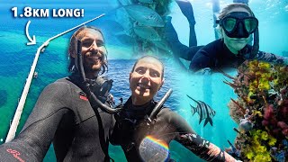 We Freedive the LONGEST Jetty in the Southern Hemisphere The Busselton Jetty  Ep 27 [upl. by Orthman635]