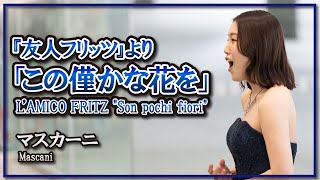 マスカーニオペラ『友人フリッツ』より「この僅かな花を」歌・ピアノ／ MascagniLAMICO FRITZ quotSon pochi fioriquot Song・Piano朝♪クラ [upl. by Rhonda]