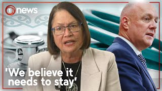 Govt faces fresh legal action over Māori Health Authority disestablishment  1News [upl. by Romelda898]