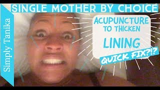 Acupuncture To Thicken Endometrium Lining Quick  Is this the Fix [upl. by Nairahcaz]