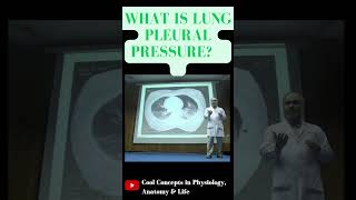 What is Pleural Pressure in lungs 1styearmbbslectures shorts youtubeshorts youtube ytshorts [upl. by Mehalek]