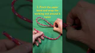 Shorts How To Tie The Perfection Loop [upl. by Ahsinet]