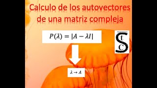 Calculo de autovectores de una matriz compleja Calculo complejo [upl. by Vitia530]