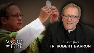 Bishop Barron on the Real Presence of Christ in the Eucharist [upl. by Tierney451]