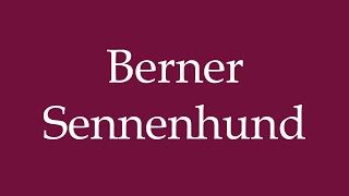 How to Pronounce Berner Sennenhund Bernese Mountain Dog Correctly in German [upl. by Harihat3]