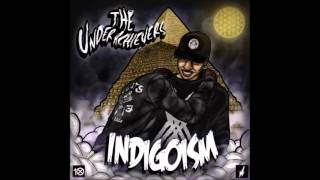 The Underachievers  Philanthropist Indigoism [upl. by Aivekahs]