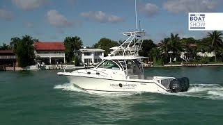 ENG PURSUIT OS 385  Review  The Boat Show [upl. by Waldner]