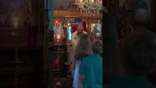 Divine Liturgy  fr christodoulos papadeas [upl. by Aivekahs]