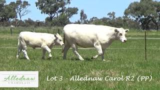 Lot 3  Allednaw Carol R2 PP AKTR2E [upl. by Ardnasyl]