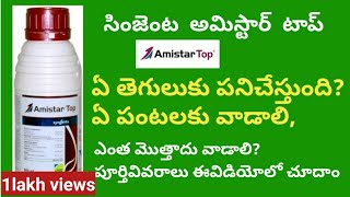 amistar top syngenta fungicide full details in telugu  BB agriculture telugu [upl. by Alaet]